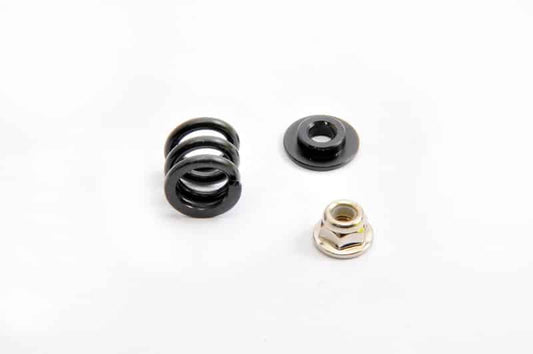 40079 SLIPPER SPRING SET